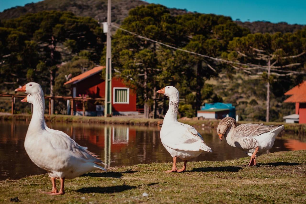 אורוביסי Pousada Lago Da Colina מראה חיצוני תמונה